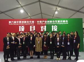 我院學(xué)子圓滿完成第六屆中意產(chǎn)業(yè)創(chuàng)新合作重慶峰會項目對接會翻譯與軟件開發(fā)志愿服務(wù)