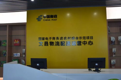 隴南市電商發(fā)展局局長劉粉梅一行考核文縣電子商務工作并開展業(yè)務指導